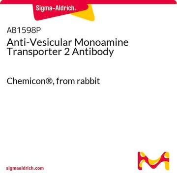 Anti-Vesicular Monoamine Transporter 2 Antibody Chemicon&#174;, from rabbit