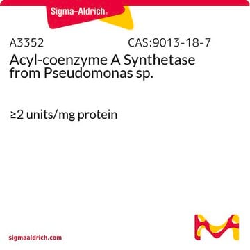 Acyl-coenzyme&#160;A Synthetase from Pseudomonas sp. &#8805;2&#160;units/mg protein