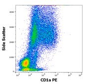 Monoclonal Anti-CD1a PE produced in mouse