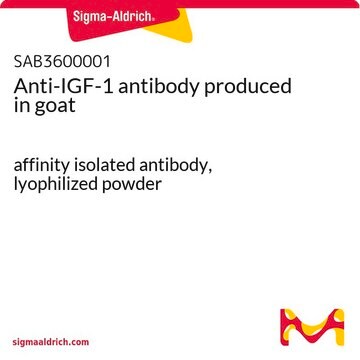 Anti-IGF-1 antibody produced in goat affinity isolated antibody, lyophilized powder