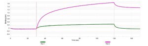 Anti-PKC &#950; Antibody, clone 1F20 ZooMAb&#174; Rabbit Monoclonal recombinant, expressed in HEK 293 cells