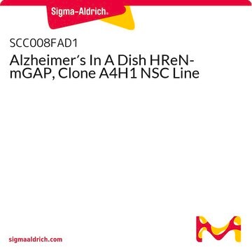 Alzheimer&#8242;s In A Dish HReN-mGAP, Clone A4H1 NSC Line