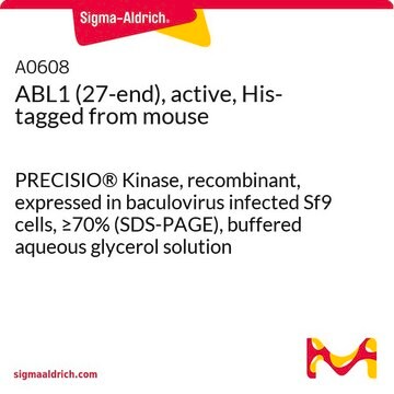 ABL1 (27-end), active, His-tagged from mouse PRECISIO&#174; Kinase, recombinant, expressed in baculovirus infected Sf9 cells, &#8805;70% (SDS-PAGE), buffered aqueous glycerol solution