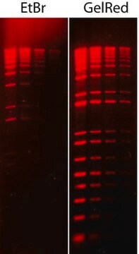 GelRed&#174; Nucleic Acid Stain 10000X DMSO GelRed is a fluorescent nucleic acid stain designed to replace the highly toxic ethidium bromide (EtBr) for staining dsDNA, ssDNA or RNA in agarose gels or polyacrylamide gels.