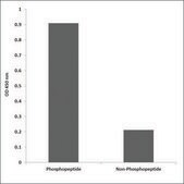 Anti-phospho-SOX-9 (pSer181) antibody produced in rabbit affinity isolated antibody