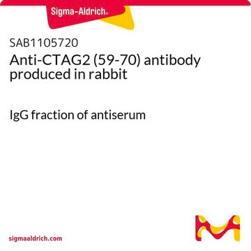 Anti-CTAG2 (59-70) antibody produced in rabbit IgG fraction of antiserum