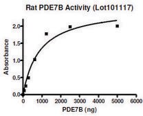 PDE7B active rat recombinant, expressed in baculovirus infected Sf9 cells, &#8805;30% (SDS-PAGE)