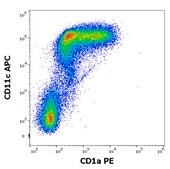 Monoclonal Anti-CD1a PE produced in mouse
