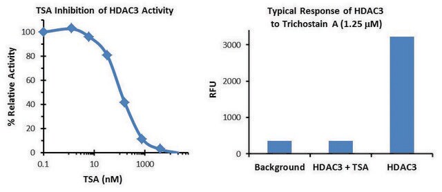 Histone Deacetylase 3 (HDAC3) Inhibitor Screening Kit 100 assays in 96 well plates