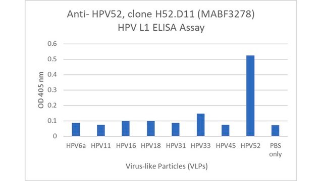 Anti-HPV52 Antibody, clone H52.D11
