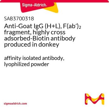 Anti-Goat IgG (H+L), F(ab&#8242;)2 fragment, highly cross adsorbed-Biotin antibody produced in donkey affinity isolated antibody, lyophilized powder