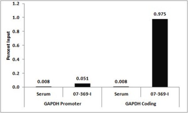 Anti-dimethyl Histone H3 Antibody (Lys36) serum, from rabbit