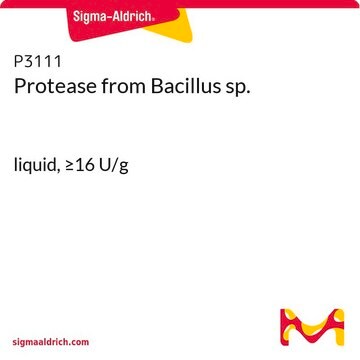 Protease from Bacillus sp. liquid, &#8805;16&#160;U/g