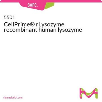 CellPrime&#174; rLysozyme recombinant human lysozyme