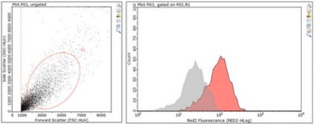 Anti-acetyl-Histone H3 (Lys9) Antibody, Alexa Fluor&#8482; 647 Conjugate from rabbit, ALEXA FLUOR&#8482; 647