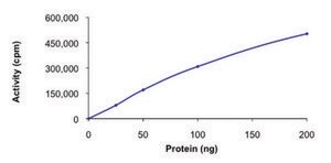 YES1, active, GST tagged human PRECISIO&#174; Kinase, recombinant, expressed in baculovirus infected Sf9 cells, &#8805;70% (SDS-PAGE), buffered aqueous glycerol solution