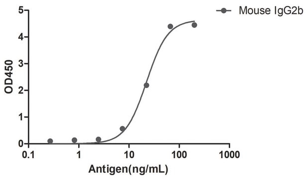 Alpaca Anti-Mouse IgG2b(Fc&#947;) single domain Antibody recombinant Alpaca(VHH) Nano antibody