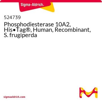 Phosphodiesterase 10A2, His&#8226;Tag&#174;, Human, Recombinant, S. frugiperda