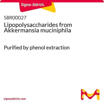 Lipopolysaccharides from Akkermansia muciniphila Purified by phenol extraction