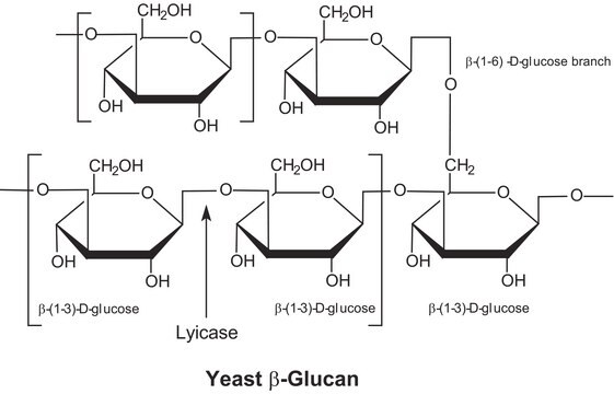 Lyticase from Arthrobacter Luteus Suitable for manufacturing of diagnostic kits and reagents, lyophilized powder, &#8805;2000&#160;units/mg protein