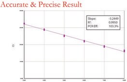 LuminoCt&#174; SYBR&#174; Green qPCR ReadyMix&#8482; For fast SYBR Green quantitative PCR