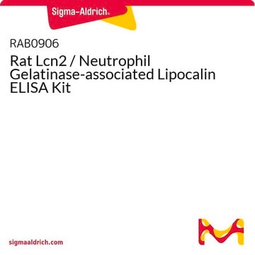 Rat Lcn2 / Neutrophil Gelatinase-associated Lipocalin ELISA Kit