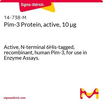 Pim-3 Protein, active, 10 &#181;g Active, N-terminal 6His-tagged, recombinant, human Pim-3, for use in Enzyme Assays.