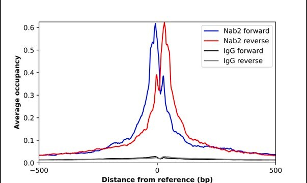 Anti-NAB2 antibody produced in rabbit Prestige Antibodies&#174; Powered by Atlas Antibodies, affinity isolated antibody, buffered aqueous glycerol solution