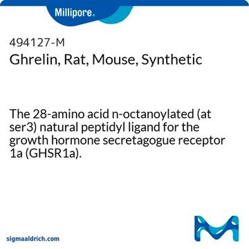 Ghrelin, Rat, Mouse, Synthetic The 28-amino acid n-octanoylated (at ser3) natural peptidyl ligand for the growth hormone secretagogue receptor 1a (GHSR1a).