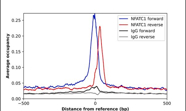 Anti-NFATC1 antibody produced in rabbit Prestige Antibodies&#174; Powered by Atlas Antibodies, affinity isolated antibody