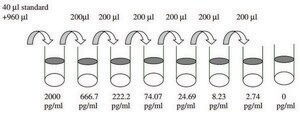 Human SCF ELISA Kit for serum, plasma, cell culture supernatant and urine