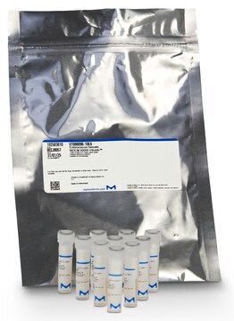 Staphylococcus saprophyticus WDCM 00159 Vitroids&#8482; 1,000-10,000 CFU mean value range, certified reference material, suitable for microbiology, Manufactured by: Sigma-Aldrich Production GmbH, Switzerland