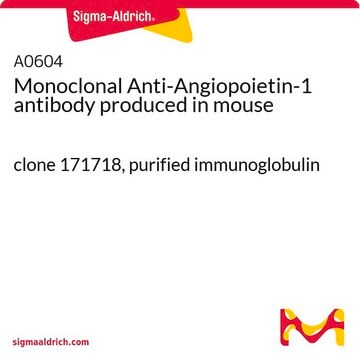 Monoclonal Anti-Angiopoietin-1 antibody produced in mouse clone 171718, purified immunoglobulin