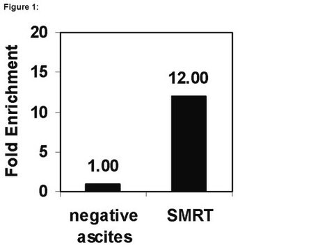 ChIPAb+ SMRT - ChIP Validated Antibody and Primer Set ascites fluid, from mouse