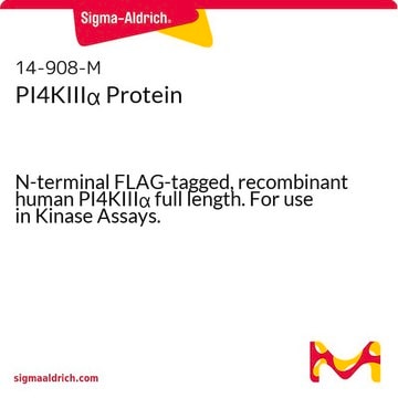 PI4KIII&#945; Protein N-terminal FLAG-tagged, recombinant human PI4KIII&#945; full length. For use in Kinase Assays.