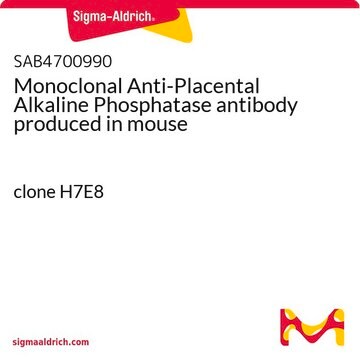 Monoclonal Anti-Placental Alkaline Phosphatase antibody produced in mouse clone H7E8