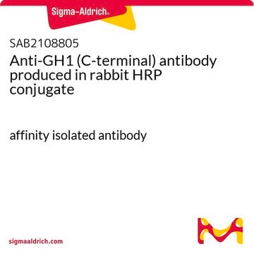 Anti-GH1 (C-terminal) antibody produced in rabbit HRP conjugate affinity isolated antibody