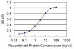 Monoclonal Anti-CALM3 antibody produced in mouse clone 1E2, purified immunoglobulin, buffered aqueous solution