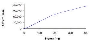 PDGFR-&#945; (T674I), active, GST tagged human PRECISIO&#174;, recombinant, expressed in baculovirus infected Sf9 cells, &#8805;70% (SDS-PAGE), buffered aqueous glycerol solution