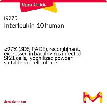 Interleukin-10 human &#8805;97% (SDS-PAGE), recombinant, expressed in baculovirus infected Sf21 cells, lyophilized powder, suitable for cell culture