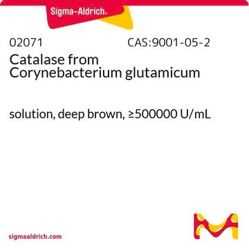 Catalase from Corynebacterium glutamicum solution, deep brown, &#8805;500000&#160;U/mL