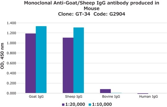 Monoclonal Anti-Goat/Sheep IgG antibody produced in mouse clone GT-34, ascites fluid