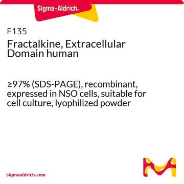 Fractalkine, Extracellular Domain human &#8805;97% (SDS-PAGE), recombinant, expressed in NSO cells, suitable for cell culture, lyophilized powder
