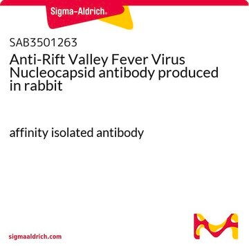 Anti-Rift Valley Fever Virus Nucleocapsid antibody produced in rabbit affinity isolated antibody