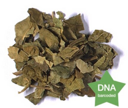 Gymnema sylvestre Leaf Botanical reference material