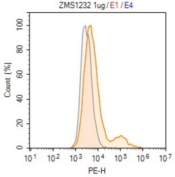 Anti-RABV Glycoprotein Antibody, clone D1-25 ZooMAb&#174; Mouse Monoclonal recombinant, expressed in HEK 293 cells