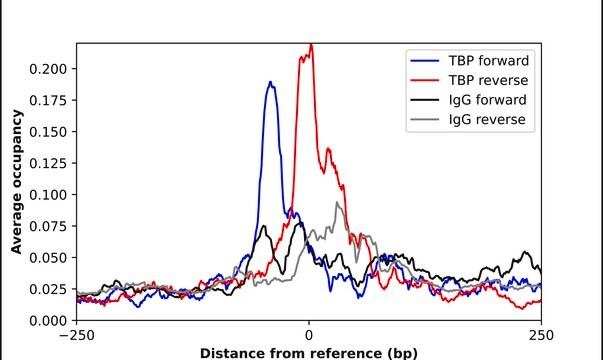 Anti-TBP antibody produced in rabbit Prestige Antibodies&#174; Powered by Atlas Antibodies, affinity isolated antibody, buffered aqueous glycerol solution
