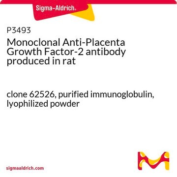 Monoclonal Anti-Placenta Growth Factor-2 antibody produced in rat clone 62526, purified immunoglobulin, lyophilized powder
