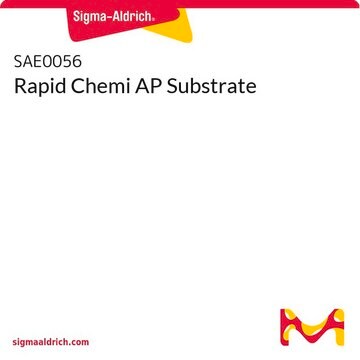 Rapid Chemi AP Substrate