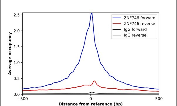 Anti-ZNF746 antibody produced in rabbit Prestige Antibodies&#174; Powered by Atlas Antibodies, affinity isolated antibody, buffered aqueous glycerol solution